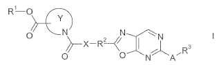 Derivados de ácido carboxílico heterocíclicos con un anillo de oxazolopirimidina 2,5-sustituida.