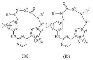 4-Aril-2-anilino-pirimidinas como inhibidores de cinasas PLK.