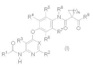 Nuevo derivado de piridina y derivado de pirimidina (3).