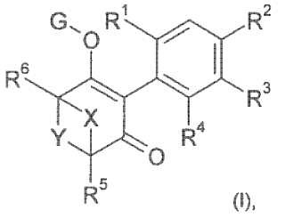 1,3-Dionas bicíclicas y su uso como insecticidas, acaricidas y/o fungicidas.