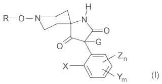Derivados espiroheterocíclicos de pirrolidina-diona utilizados como pesticidas.