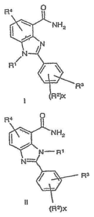 2-fenilbencimidazoles sustituidos y su empleo como inhibidores de PARP.