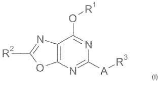 Derivados de oxazolopirimidina sustituidos en 2,5,7.