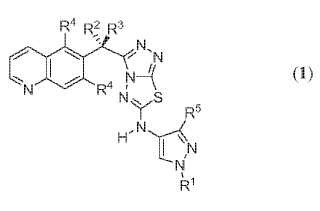 Inhibidores a base de aminopirazol triazolotiadiazol de la proteína cinasa c-met.
