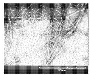 Procedimiento de fabricación de celulosa microfibrilada.