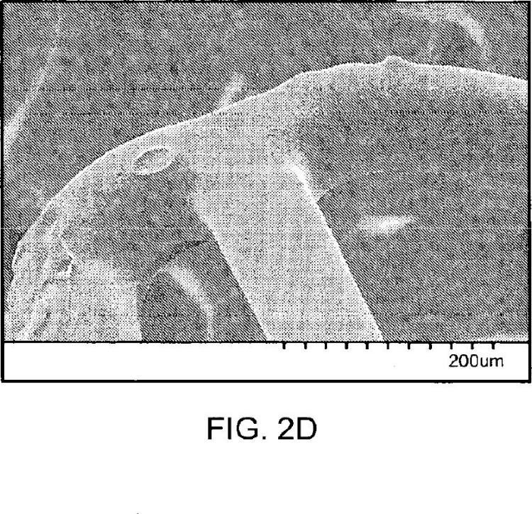 Ilustración 4 de la Galería de ilustraciones de Mezclas de polímeros para una matriz de stent que suministra fármaco con una estabilidad térmica mejorada
