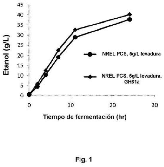 Proceso de fermentación con polipéptidos GH61.