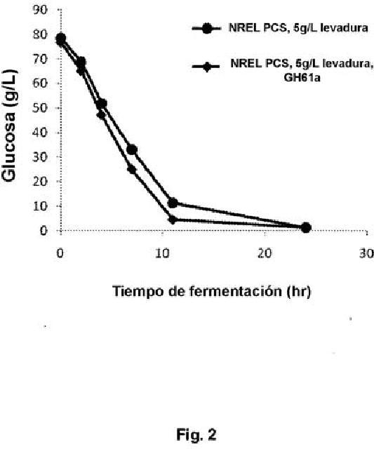 Proceso de fermentación con polipéptidos GH61.