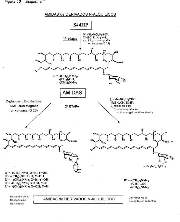 Ilustración 5 de la Galería de ilustraciones de Derivados de nistatina y su uso como agentes antifúngicos