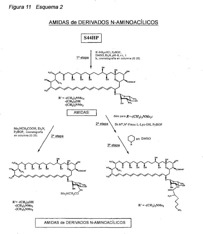 Ilustración 6 de la Galería de ilustraciones de Derivados de nistatina y su uso como agentes antifúngicos