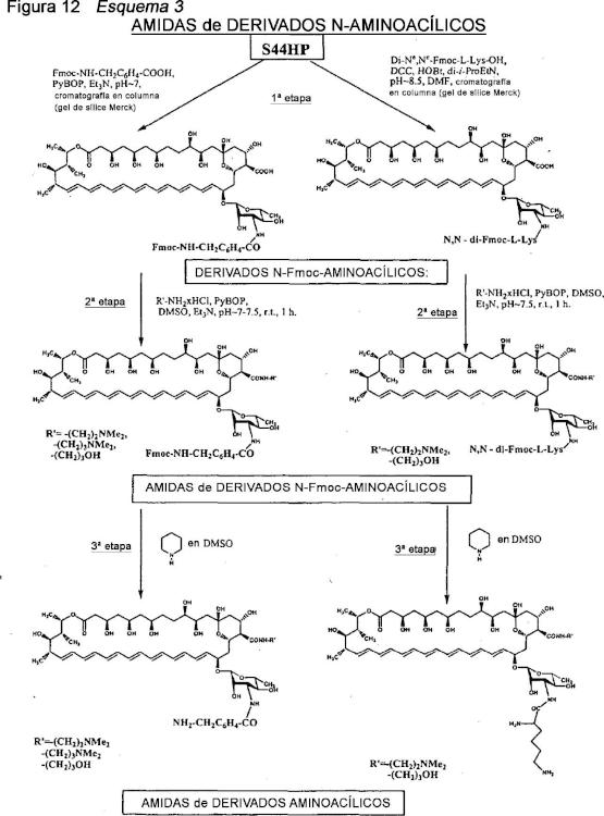 Ilustración 7 de la Galería de ilustraciones de Derivados de nistatina y su uso como agentes antifúngicos