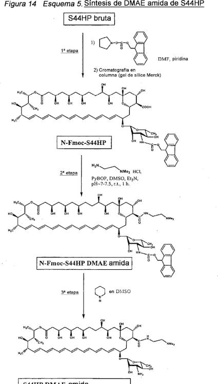 Ilustración 9 de la Galería de ilustraciones de Derivados de nistatina y su uso como agentes antifúngicos