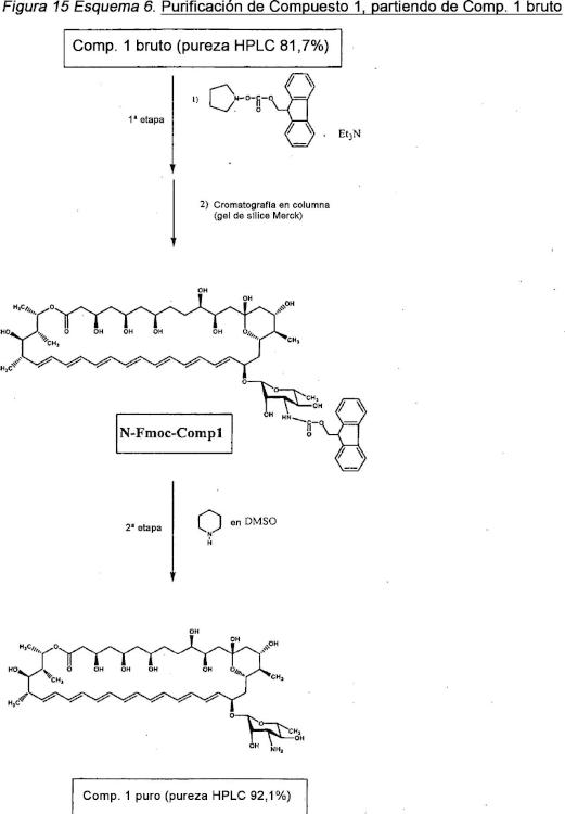 Ilustración 10 de la Galería de ilustraciones de Derivados de nistatina y su uso como agentes antifúngicos
