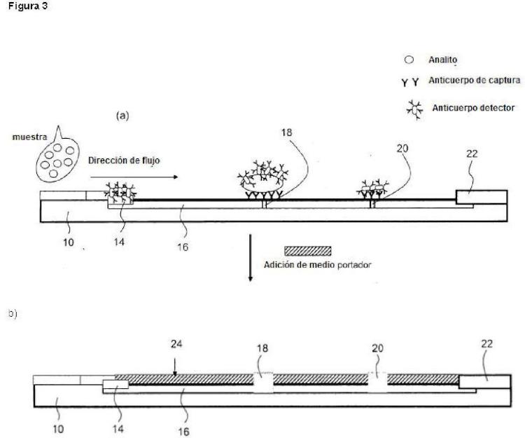 Ilustración 3 de la Galería de ilustraciones de Procedimientos de generación de señal y localización de señal para mejorar la legibilidad de señal en bioensayos basados en fase sólida