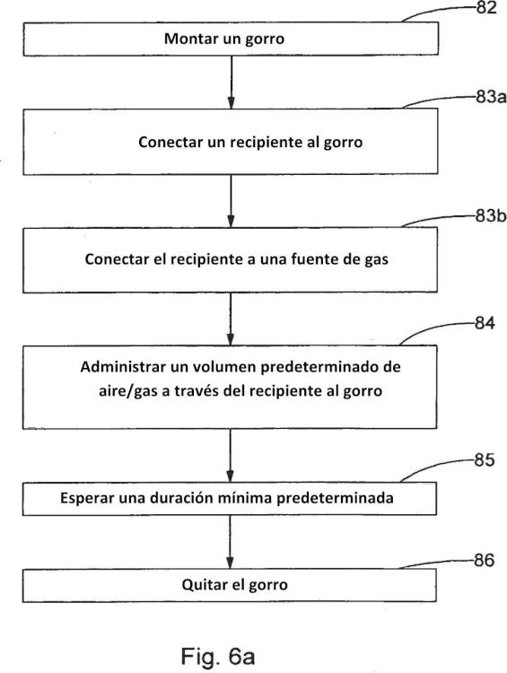 Ilustración 6 de la Galería de ilustraciones de Tratamiento contra los piojos con compuestos gaseosos en un espacio hermético