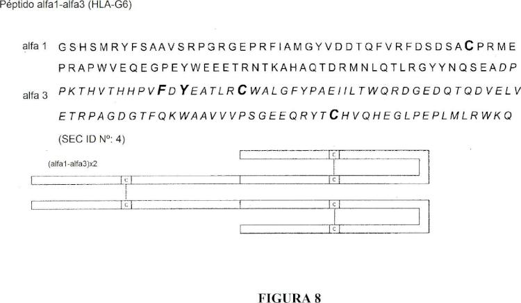 Ilustración 8 de la Galería de ilustraciones de Polipéptidos multímeros de HLA-G que incluyen al menos dos dominios alfa3 y usos farmacéuticos de los mismos