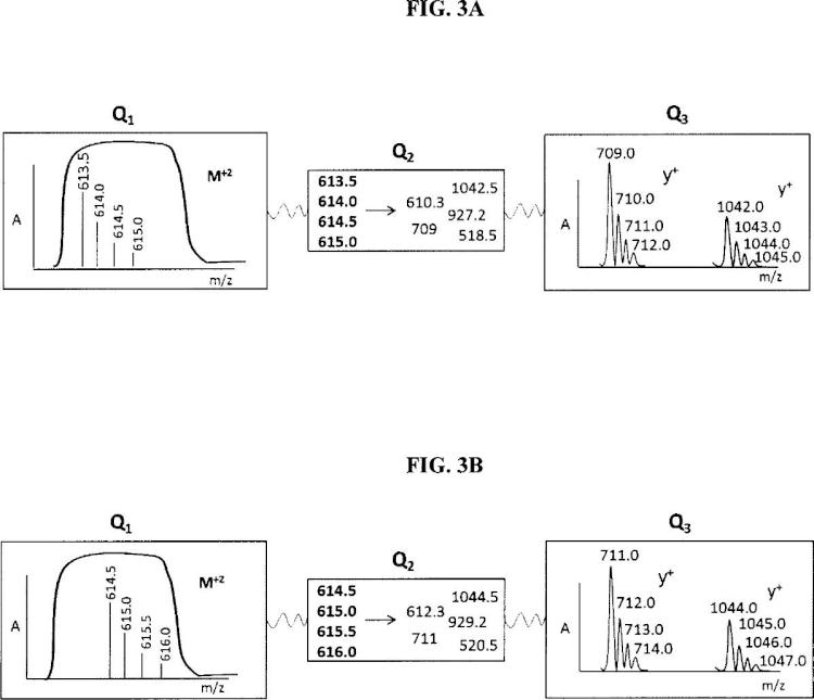 Ilustración 3 de la Galería de ilustraciones de Método para la cuantificación absoluta de péptidos mediante espectrometría de masas en tándem, y sus usos