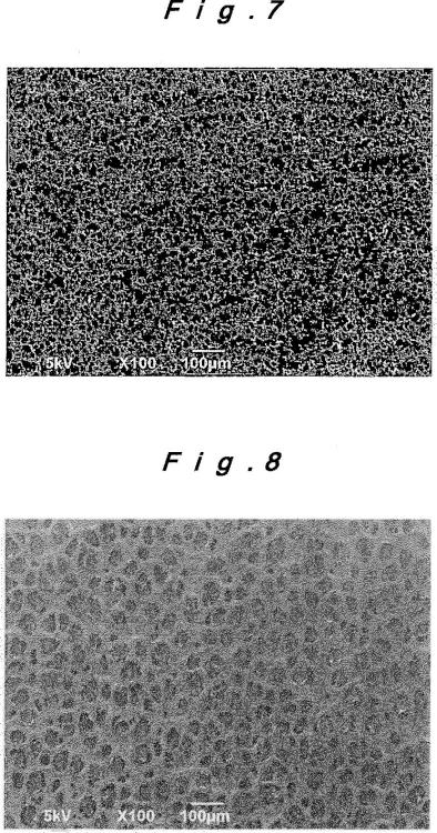 Ilustración 5 de la Galería de ilustraciones de Membrana de poliimida porosa y procedimiento para la producción de la misma