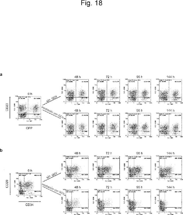 Ilustración 6 de la Galería de ilustraciones de Pseudotipificación de vectores retrovíricos, métodos para su producción y su uso para la transferencia de genes dirigida y la selección de alta capacidad de procesamiento