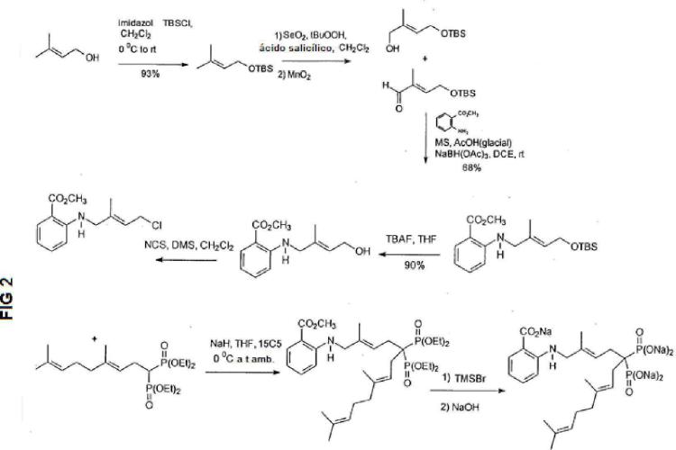 Inhibidores de la geranilgeranil pirofosfato sintasa.