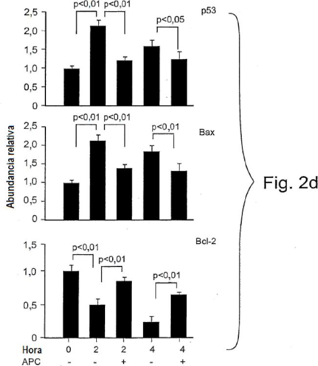 Ilustración 2 de la Galería de ilustraciones de La actividad neuroprotectora de la proteína C activada es independiente de su actividad anticoagulante