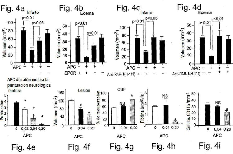 Ilustración 4 de la Galería de ilustraciones de La actividad neuroprotectora de la proteína C activada es independiente de su actividad anticoagulante