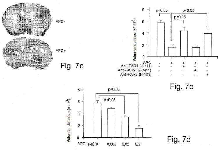Ilustración 9 de la Galería de ilustraciones de La actividad neuroprotectora de la proteína C activada es independiente de su actividad anticoagulante