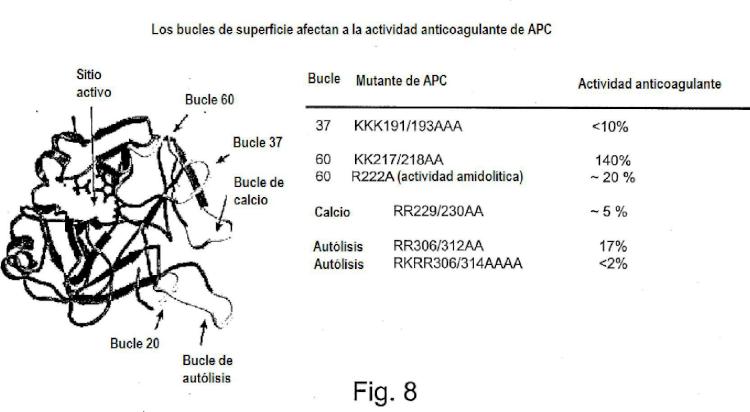 Ilustración 10 de la Galería de ilustraciones de La actividad neuroprotectora de la proteína C activada es independiente de su actividad anticoagulante