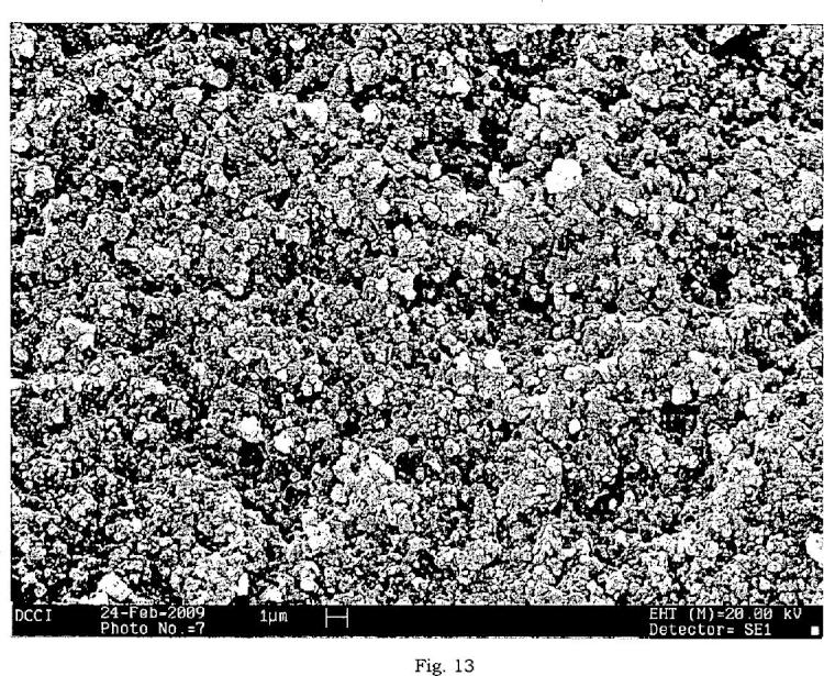 Ilustración 7 de la Galería de ilustraciones de Método para la producción de matrices compactas bioadhesivas