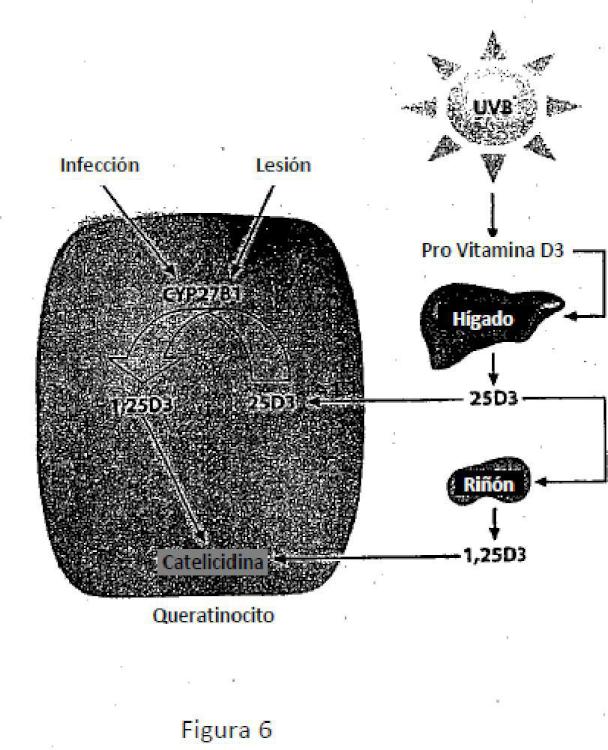 Ilustración 5 de la Galería de ilustraciones de Nanocristales de monohidrato de calcipotriol