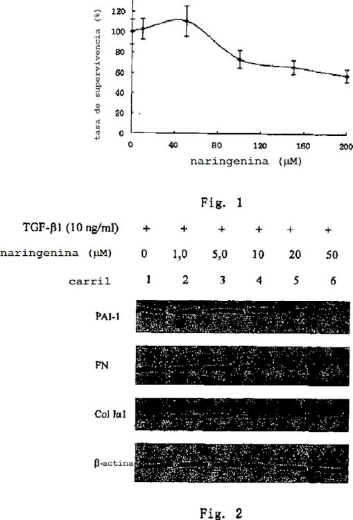 Uso de naringenina y de naringina como inhibidores de la ruta de señalización del factor de crecimiento transformante beta1.