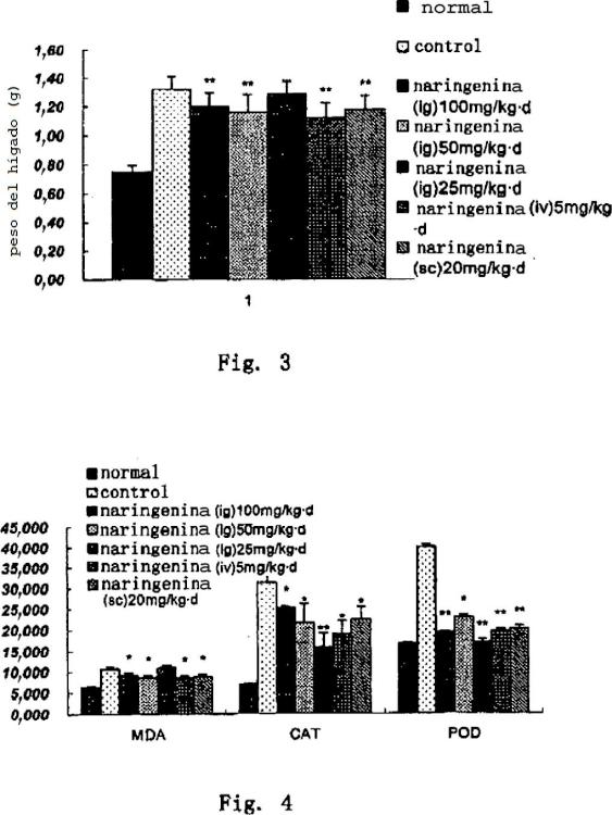 Ilustración 2 de la Galería de ilustraciones de Uso de naringenina y de naringina como inhibidores de la ruta de señalización del factor de crecimiento transformante beta1