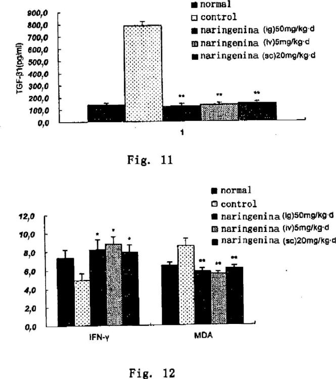 Ilustración 6 de la Galería de ilustraciones de Uso de naringenina y de naringina como inhibidores de la ruta de señalización del factor de crecimiento transformante beta1