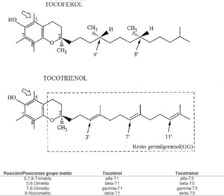 Composiciones de extracto de achiote que incluyen tocotrienoles y tocoferoles y métodos de uso.