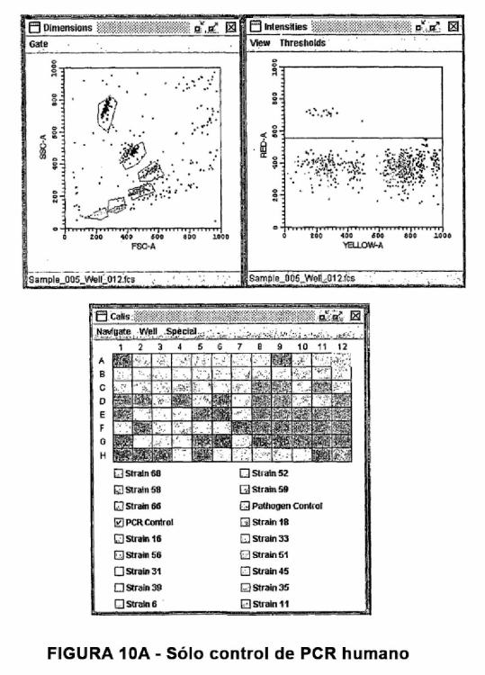 Ilustración 6 de la Galería de ilustraciones de Detección del virus del papiloma humano (VPH) usando sondas de ácidos nucleicos, microperlas y clasificadores celulares activados por fluorescencia (FACS)
