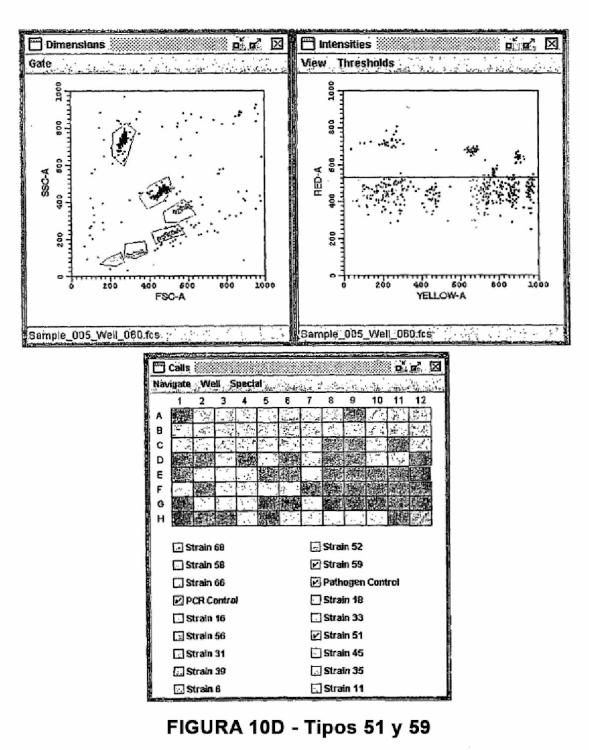 Ilustración 9 de la Galería de ilustraciones de Detección del virus del papiloma humano (VPH) usando sondas de ácidos nucleicos, microperlas y clasificadores celulares activados por fluorescencia (FACS)