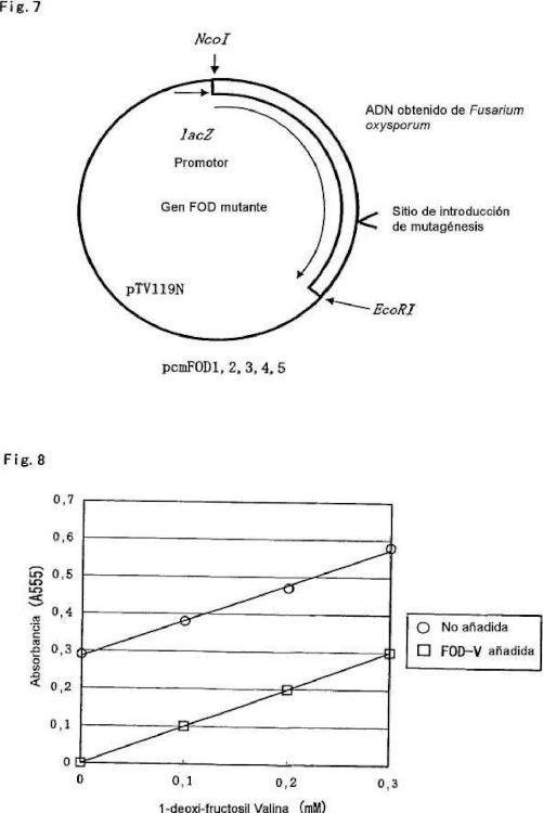 Ilustración 4 de la Galería de ilustraciones de Composición para el análisis de proteínas glicosiladas