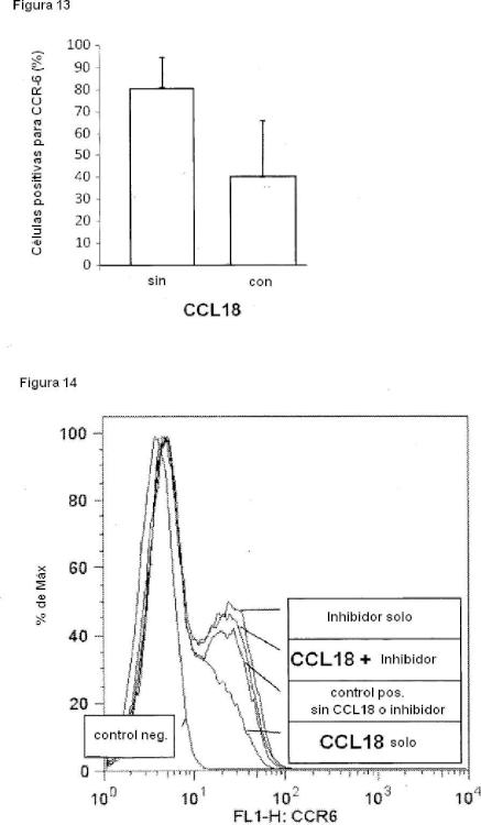 Ilustración 8 de la Galería de ilustraciones de Bloqueo de la señalización de CCL18 a través de CCR6 como una opción terapéutica en enfermedades fibróticas y cáncer