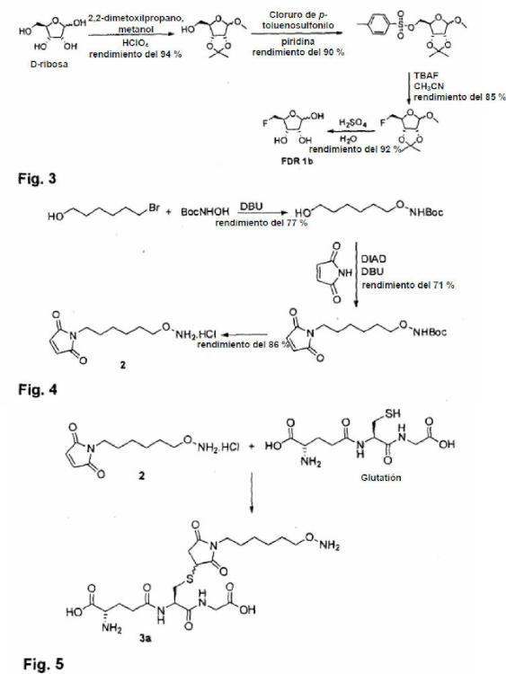 Ilustración 2 de la Galería de ilustraciones de Método de marcaje de una molécula biológicamente activa con una 5-fluoro-5-desoxipentosa o una 3-fluoro-3-desoxipentosa