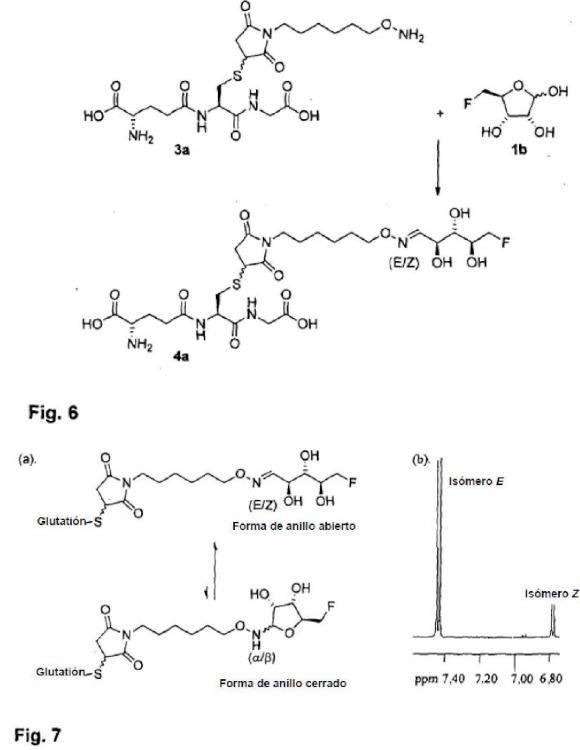 Ilustración 3 de la Galería de ilustraciones de Método de marcaje de una molécula biológicamente activa con una 5-fluoro-5-desoxipentosa o una 3-fluoro-3-desoxipentosa