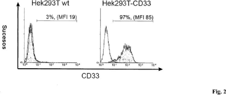 Ilustración 2 de la Galería de ilustraciones de Anticuerpos anti-CD33 y su aplicación para el inmunotargeting en el tratamiento de enfermedades asociadas a CD33