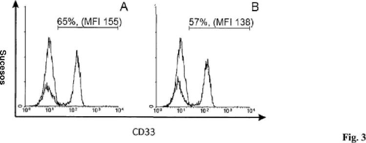 Ilustración 3 de la Galería de ilustraciones de Anticuerpos anti-CD33 y su aplicación para el inmunotargeting en el tratamiento de enfermedades asociadas a CD33