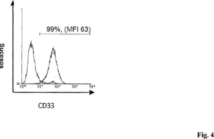 Ilustración 4 de la Galería de ilustraciones de Anticuerpos anti-CD33 y su aplicación para el inmunotargeting en el tratamiento de enfermedades asociadas a CD33