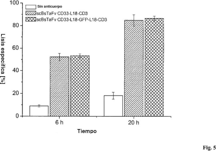 Ilustración 5 de la Galería de ilustraciones de Anticuerpos anti-CD33 y su aplicación para el inmunotargeting en el tratamiento de enfermedades asociadas a CD33
