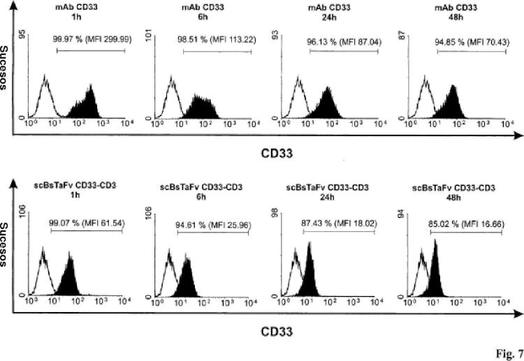 Ilustración 7 de la Galería de ilustraciones de Anticuerpos anti-CD33 y su aplicación para el inmunotargeting en el tratamiento de enfermedades asociadas a CD33