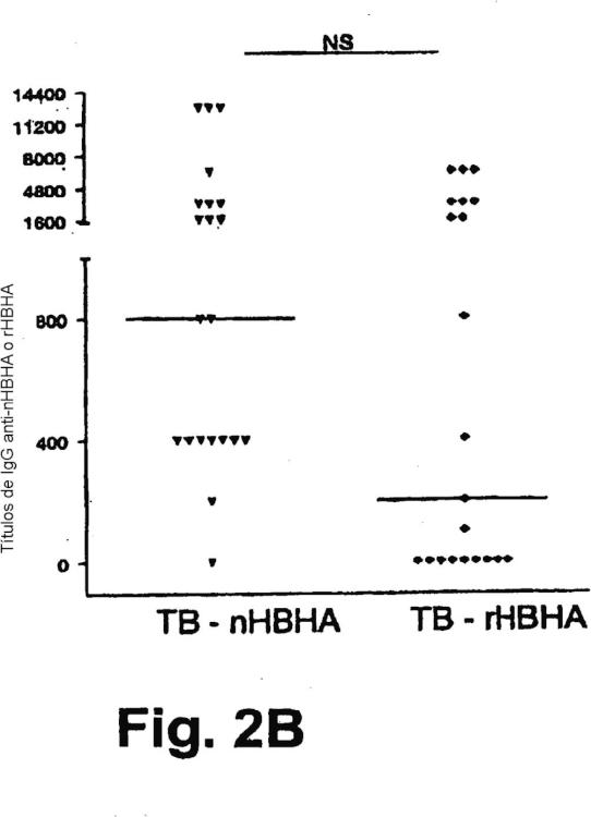 Ilustración 3 de la Galería de ilustraciones de Detección de la tuberculosis e infección por Mycobacterium tuberculosis utilizando HBHA