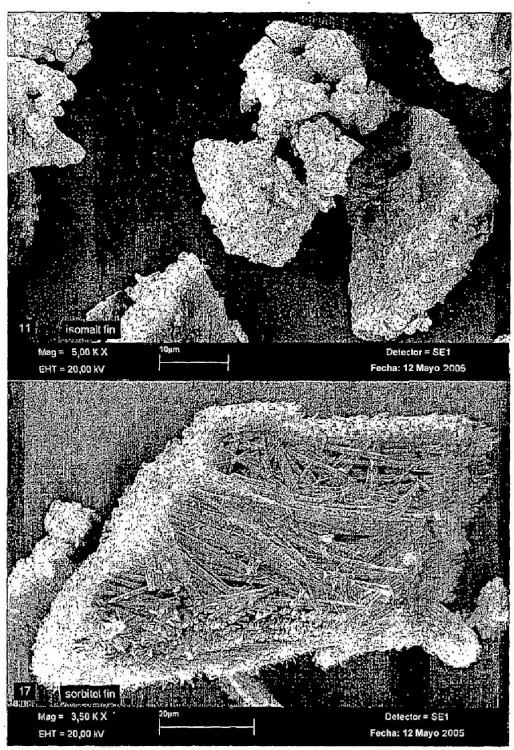Ilustración 3 de la Galería de ilustraciones de Material en forma de partículas que comprende un compuesto que contiene calcio y un alcohol de azúcar