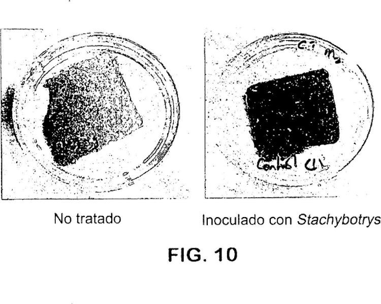 Ilustración 9 de la Galería de ilustraciones de Composiciones básicas que comprenden un alcanol y una sal de ácido graso o un glicérido de ácido graso para esterilizar un material