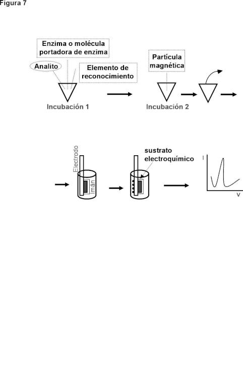 Ilustración 4 de la Galería de ilustraciones de Procedimiento para la detección magneto-electroquímica sin lavados de un analito en una muestra