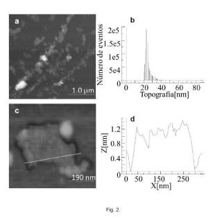 Método de obtención de oxido de material pregrafítico, oxido de grafeno o grafeno a partir de materiales pregrafíticos y productos obtenidos por dicho método.